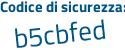 Il Codice di sicurezza è Z9Z1e6a tutto attaccato e senza spazi