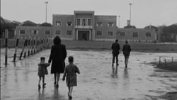 A San Diego e New York, Bertozzi con Profughi a Cinecittà