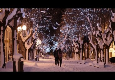 Interesse culturale in sala, Neve di Stefano Incerti