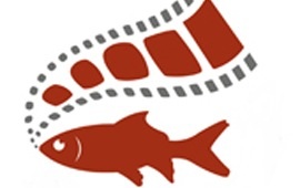 Cortinametraggio, festival di corti