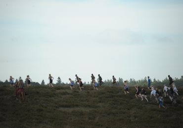 Interesse culturale in sala, Il Paese dove gli Alberi Volano di Davide Barletti e Jacopo Quadri